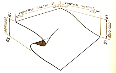 catastrophe%20fig1