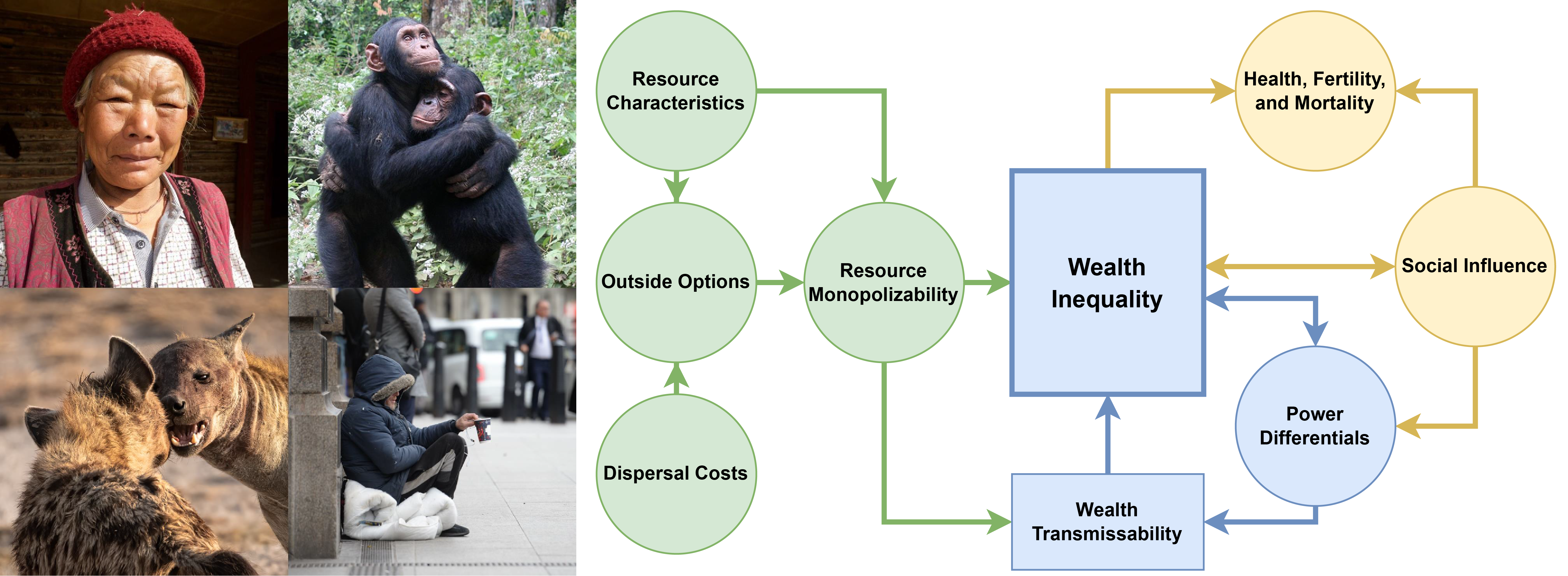 Smith et al. 2023 Phil Trans Roy Soc B