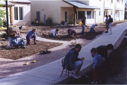 Planting Thyme as ground cover for the Central pathway