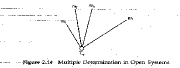 Figure 2.14 Multiple Determination in Open Systems