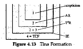 Figure 4.13 TINA formation